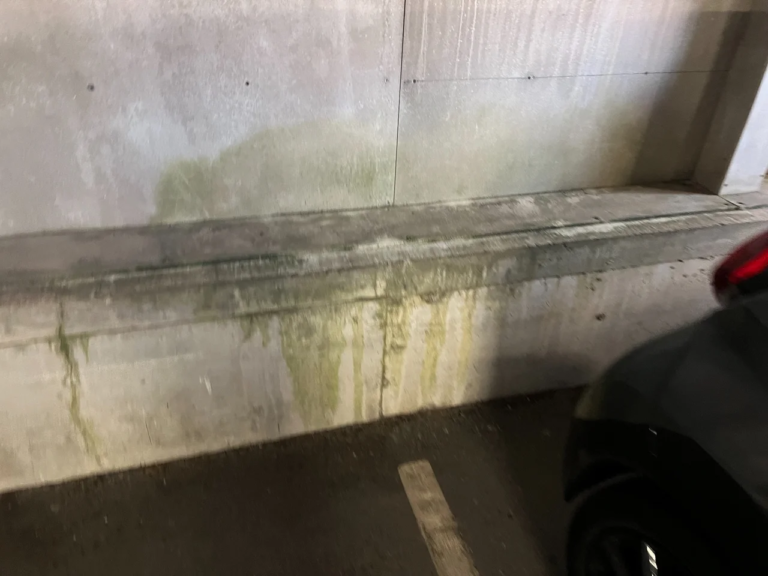 Structural Appraisal Risk Assessment – photo 3